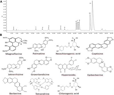 Comprehensive fecal metabolomics and gut microbiota study of the protective mechanism of herbal pair Polygonum hydropiper-Coptis chinensis in rats with stress-induced gastric mucosal damage